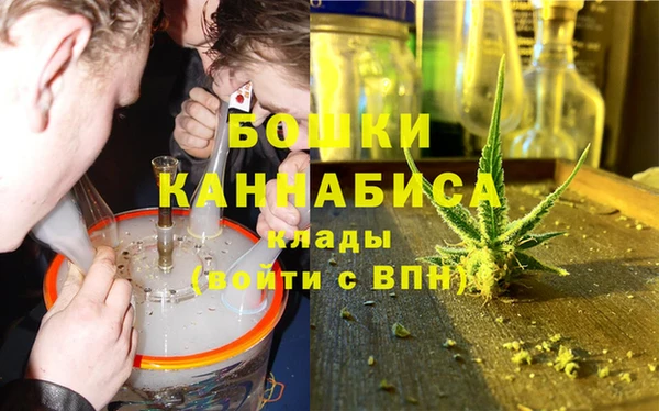 твердый Ельня