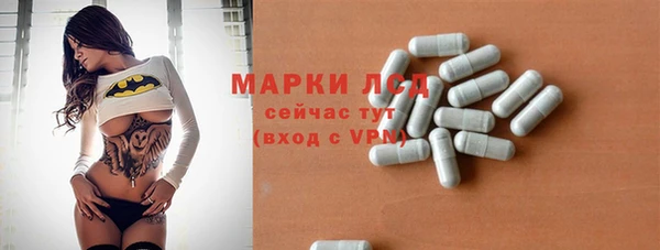 гашик Тавда