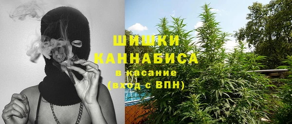 твердый Ельня