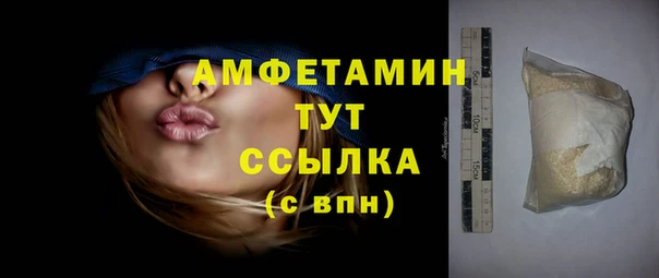 твердый Ельня