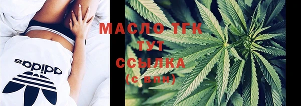 твердый Ельня
