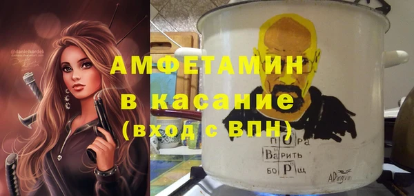 твердый Ельня